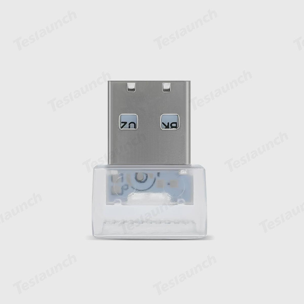 Custom RGB LED Lighting Kit with USB-A/C Ports for Tesla Models S/X/3/Y - Enhance Your Backseat (2012-2024) - Evooor