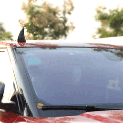 Model Y/3/S/X Car Roof Devil Horns Decoration for Tesla - Evooor