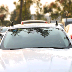 Model Y/3/S/X Car Roof Devil Horns Decoration for Tesla - Evooor