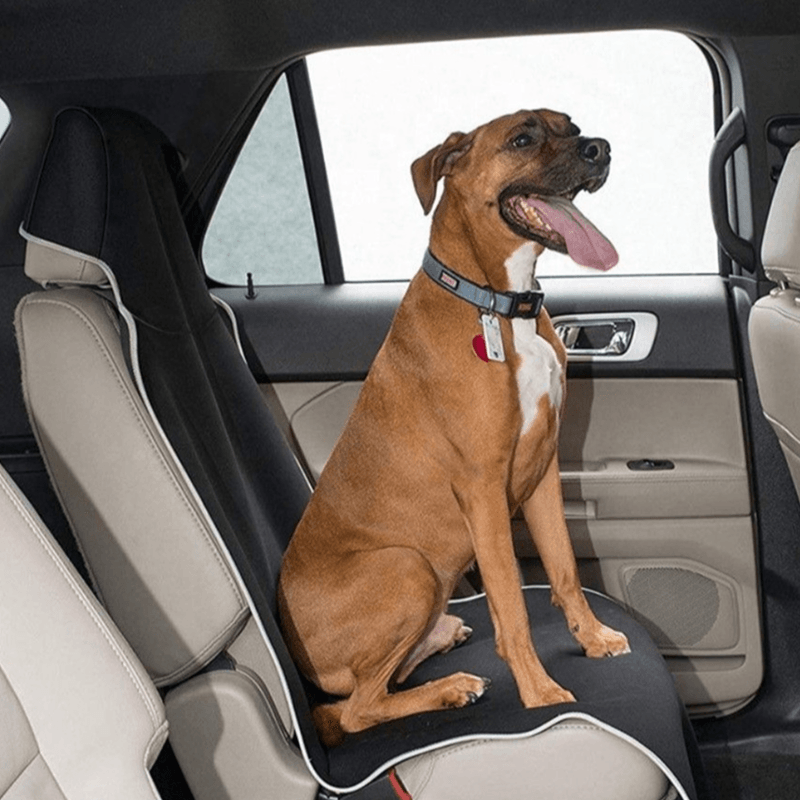 Waterproof Neoprene Seat Protector - Universal Fit for Car Seats - Anti-Skid Technology - Evooor