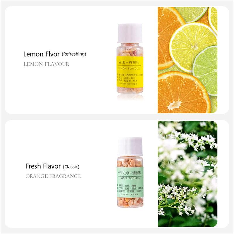 Model 3/Y/X/S Car Solid Diffuser-Lucky Bird Car Aromatherapy Car Air Freshener scent Fragrance For Tesla(2012-2023) - Evooor