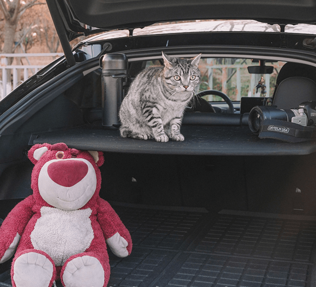 Foldable Rear Trunk Cargo Cover Board for Tesla Model Y - Shock-Absorbing Design, Easy Storage (2020-2024) - Evooor