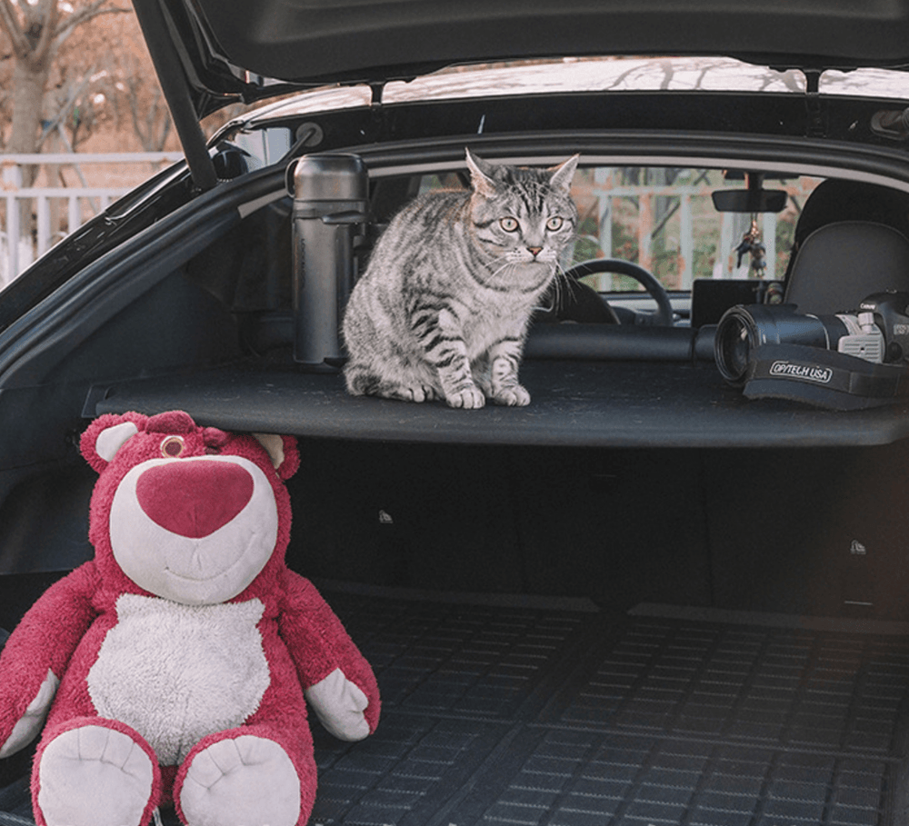 Foldable Rear Trunk Cargo Cover Board for Tesla Model Y - Shock-Absorbing Design, Easy Storage (2020-2024) - Evooor