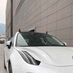 Model Y/3/S/X Autodach Teufelshörner Dekoration für Tesla
